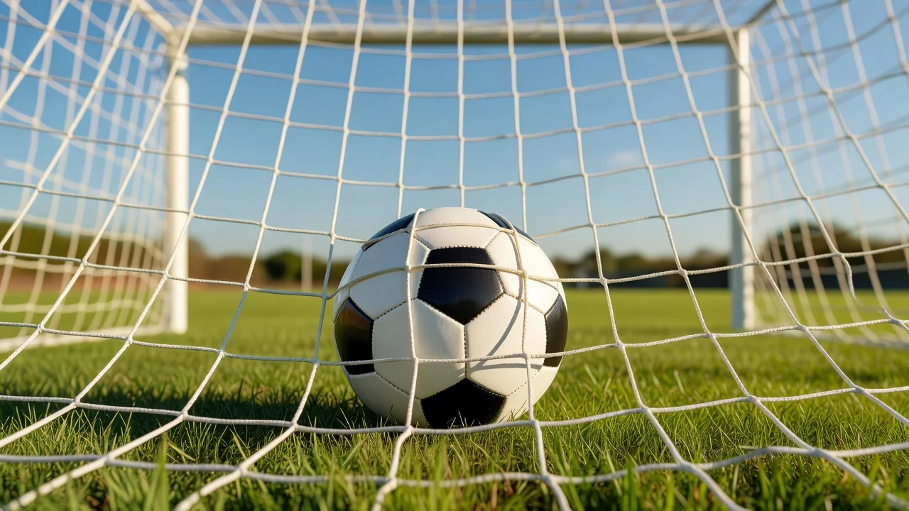 A soccer ball in a goal net photographed from inside the goal in daylight